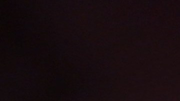 Angelique Boyer y Sebastián Rulli no viven juntos.