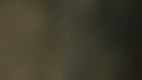 Karol G sigue triunfando en su carrera profesional.