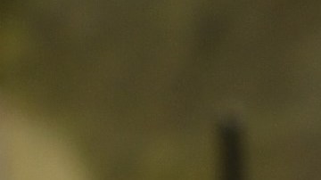 Kendall Jenner y Bad Bunny se van de fiesta en Nueva York.