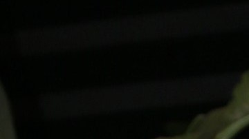 Lele Pons y Guaynaa son una de las parejas más queridas del mundo del espectáculo.