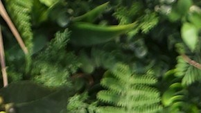 Maripily Rivera es la ganadora de la cuarta temporada de 'La Casa de los Famosos'.