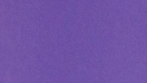 Nadia Ferreira y Marc Anthony han sido la palabra más criticada por la diferencia de edad que se llevan.