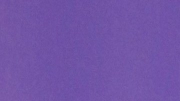 Nadia Ferreira y Marc Anthony han sido la palabra más criticada por la diferencia de edad que se llevan.