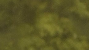 Rosalía y Rauw Alejandro coincidieron en la MET Gala celebrada el lunes 6 de mayo de 2024 en Nueva York.