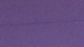 William Levy siempre se ha mostrado muy orgulloso de sus hijos.