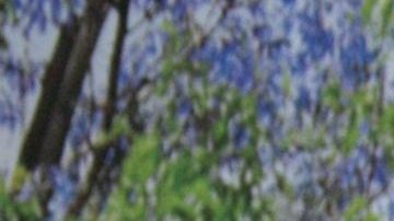 Eduardo Yáñez protagonizó una nueva agresión a la prensa al arrebatarle el celular a una reportera.