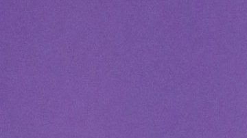 Wendy Guevara fue víctima de insultos transfóbicos.