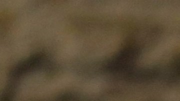 Belinda evitó preguntas de la prensa en un evento.