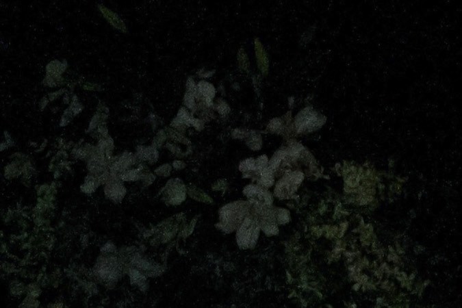 Familiares, amigos y público en general asistieron a rendir un sentido homenaje en el escenario del Teatro Jorge Negrete y despedir a Edith González.