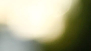 Donald Sutherland falleció a los 88 años de edad.