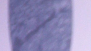 Adele se enfrentó a un fan en pleno concierto..