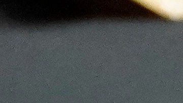 Miley Cyrus aparece con nuevo look irreconocible.