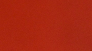 Sofía Vergara no se borrará el tatuaje que tiene de Joe Manganiello.