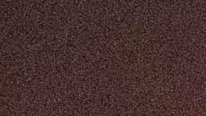 Bad Bunny tuvo un percance con una bailarina en su concierto en Puerto Rico.