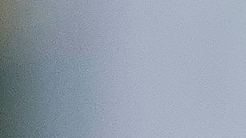 Ariadna Gutiérrez regresa al mundo del modelaje tras su paso por 'La Casa de los Famosos 4'.