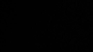 Gena Rowlands tiene 94 años de edad y sufre de Alzheimer.