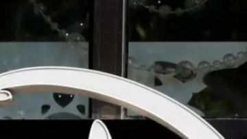 Ella es la actriz que protagoniza el live-action de 'Moana'.