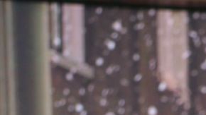 José Luis Rodríguez "El Puma" en la casita de "Despierta América" (Univision) /Miami, 10 de enero 2024.