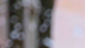 José Luis Rodríguez "El Puma" visitó la casita de "Despierta América" (Univision) /Miami, 10 de enero 2024.