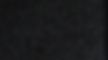 Adamari López y su hija Alaïa Costa comparten una bonita acción con otra niña.