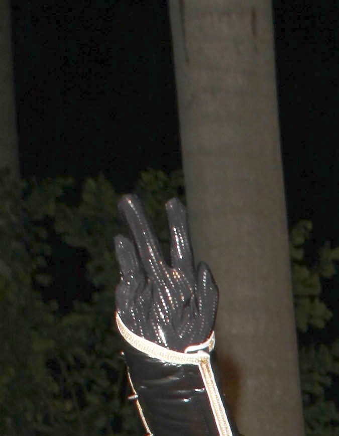 El Chacal desfila por la alfombra roja de la fiesta de los 50 años al aire del programa "Sábado Gigante" de Univision. Miami, 27 de octubre 2012.