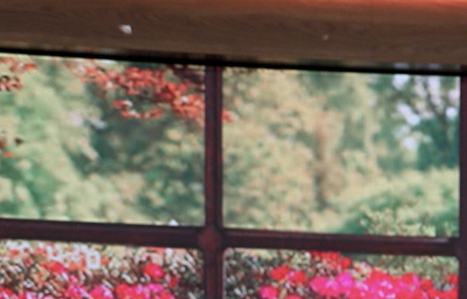 Gabriel Soto, Elizabeth Gutiérrez y Raúl González juntos en el matutino de Univision, 'Despierta América'.