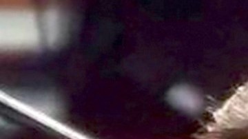 Luis Miguel podría cantar con Taylor Swift.