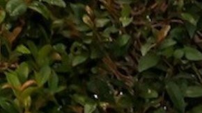 Selena Gomez y Karol G poseen una amistad muy cercana.