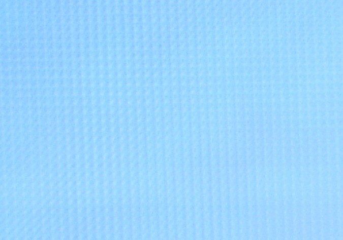 Shannen Doherty falleció a los 53 años de edad.