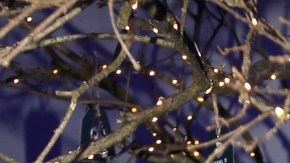 Adamari López se une a 'Bola de locos'.