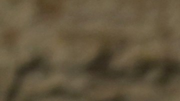 Belinda responde a comentario de Nodal.