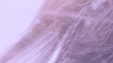 Jennifer López y Benn Affleck están en medio de rumoroes de un posible divorcio.