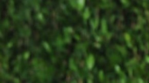 Aseguran que Ben Affleck sufre terrible situación por la aparente separación con JLo.