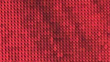 Chiquis Rivera se casó con Emilio Sánchez.