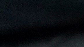 Chiquis Rivera se habría casado con su prometido Emilio Sánchez.