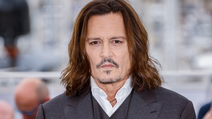 Johnny Depp ya tendría una nueva pareja sentimental.