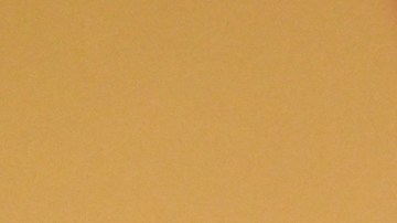 Margot Robbie presumió su panza de embarazada.