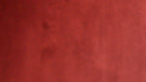 Myrka Dellanos fue novia de Luis Miguel hace casi 20 años.