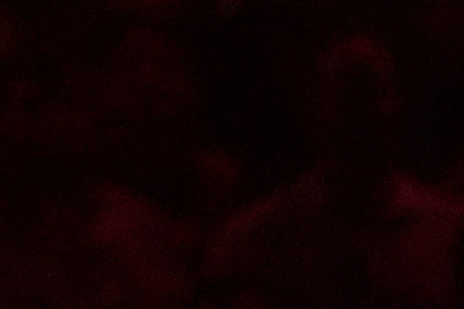 Shakira es considerada una de las artistas más influyentes en Latinoamérica y el mundo.