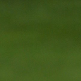 Estefanía Villarreal debutó en OnlyFans.