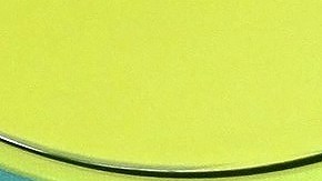 José Eduardo Derbez y Paola Dalay ya son papás.