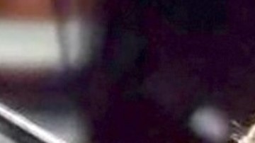 Dua Lipa escucha canciones de Luis Miguel.