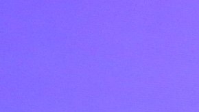 Maripily Rivera responde a las acusaciones de Clovis Nienow.