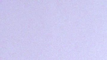 Michelle Renaud postea las imágenes más tiernas de su segundo bebé.