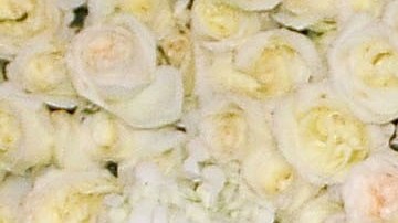 Michelle Salas limó asperezas con Luis Miguel y la familia del cantante.