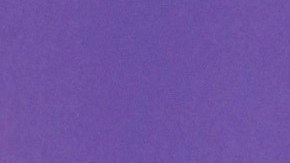 Nadia Ferreira y Marc Anthony comparten un hijo.