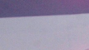 Wendy Guevara fue comparada con un famoso personaje de 'Sherk'.