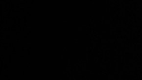 Gena Rowlands falleció a los 94 años de edad.