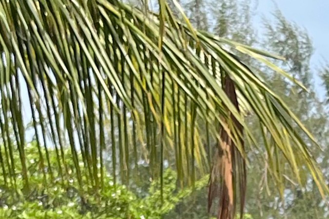 Un policía tailandés escolta al español Daniel Sancho Bronchalo, sospechoso de asesinar y desmembrar a un cirujano colombiano. Agosto 2023.