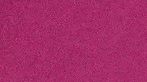 Evaluna se convirtió en imagen de Michael Kors.